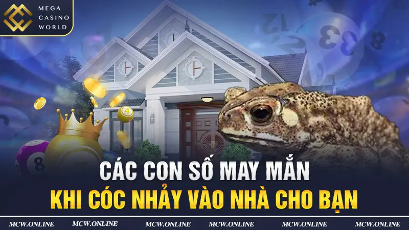 Các con số may mắn khi cóc nhảy vào nhà cho bạn