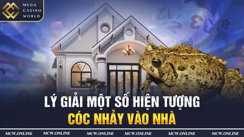 Lý giải một số hiện tượng cóc nhảy vào nhà