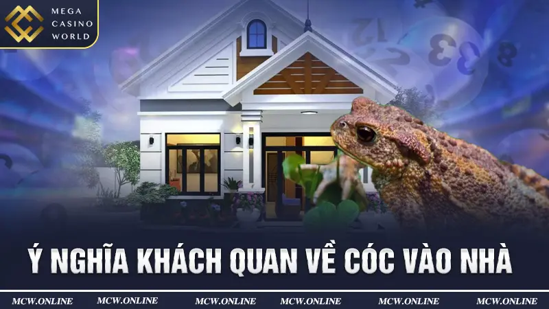 Ý nghĩa khách quan về cóc vào nhà 