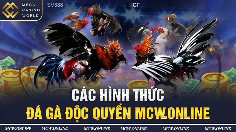 Các hình thức đá gà độc quyền MCW.ONLINE