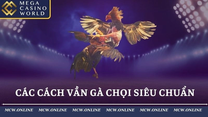 Các cách vần gà chọi siêu chuẩn