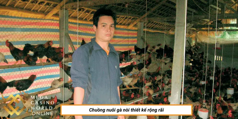 người nuôi cần chuẩn bị chuồng và trang thiết bị tốt