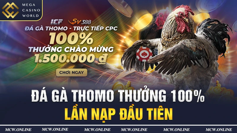 Đá gà Thomo thưởng 100% lần nạp đầu tiên