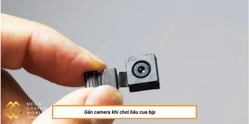 Gắn camera khi chơi bầu cua bịp