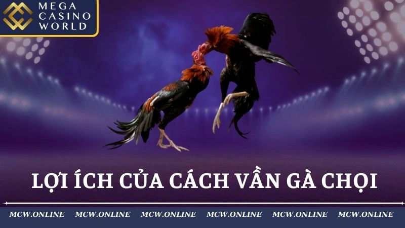 Lợi ích của cách vần gà chọi